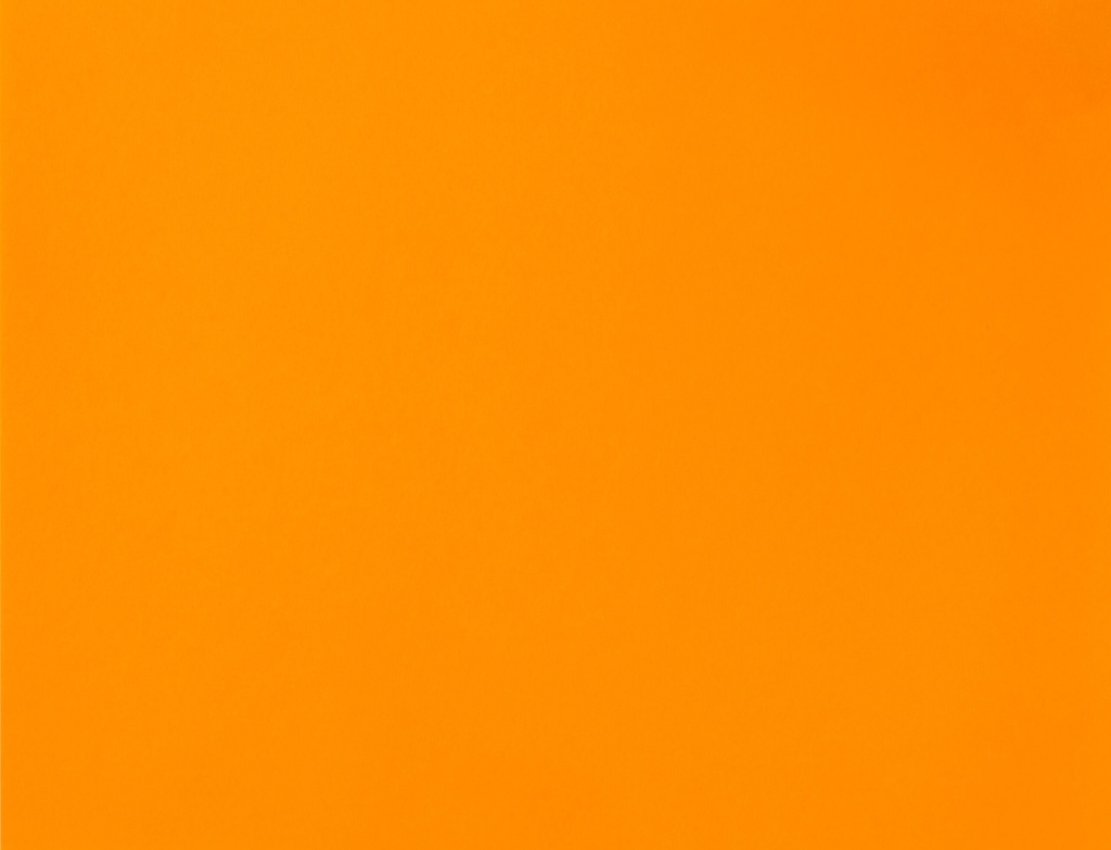 BOARD FLUO ORANGE L/S (100)