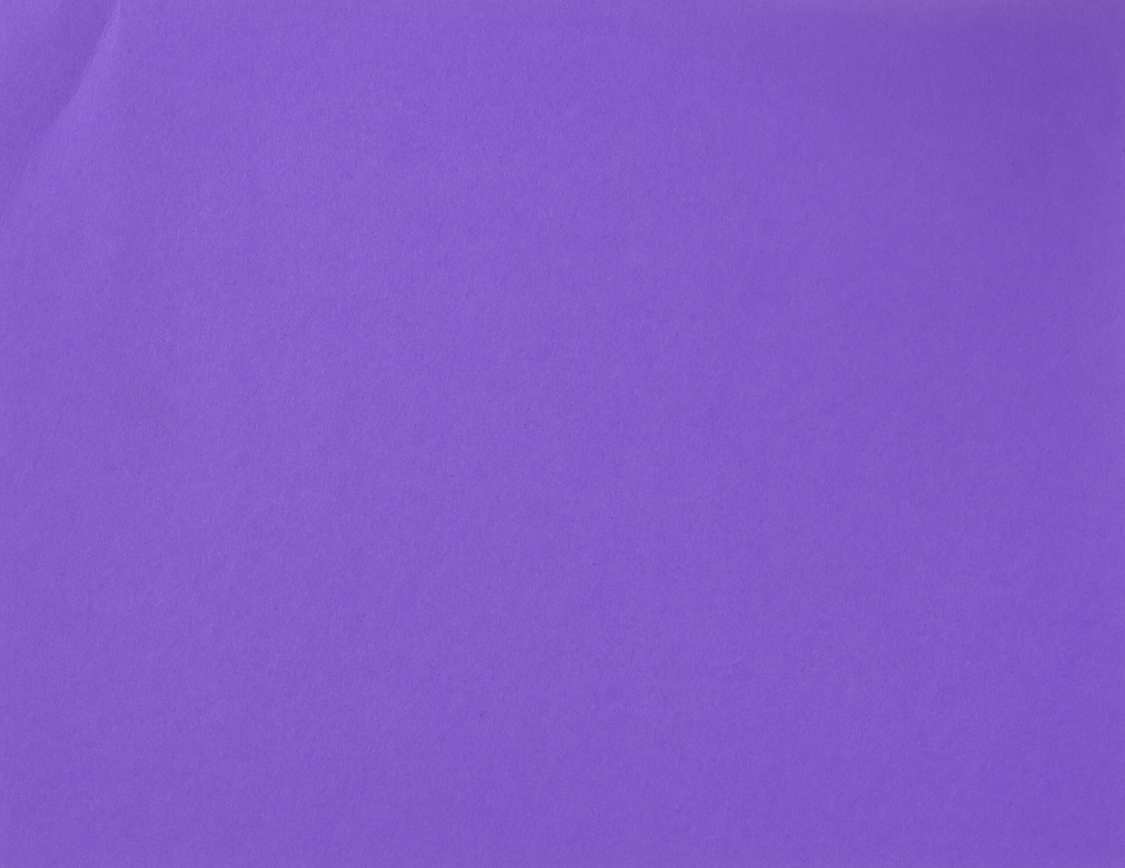 BOARD FLUO GRAPE L/S (100)