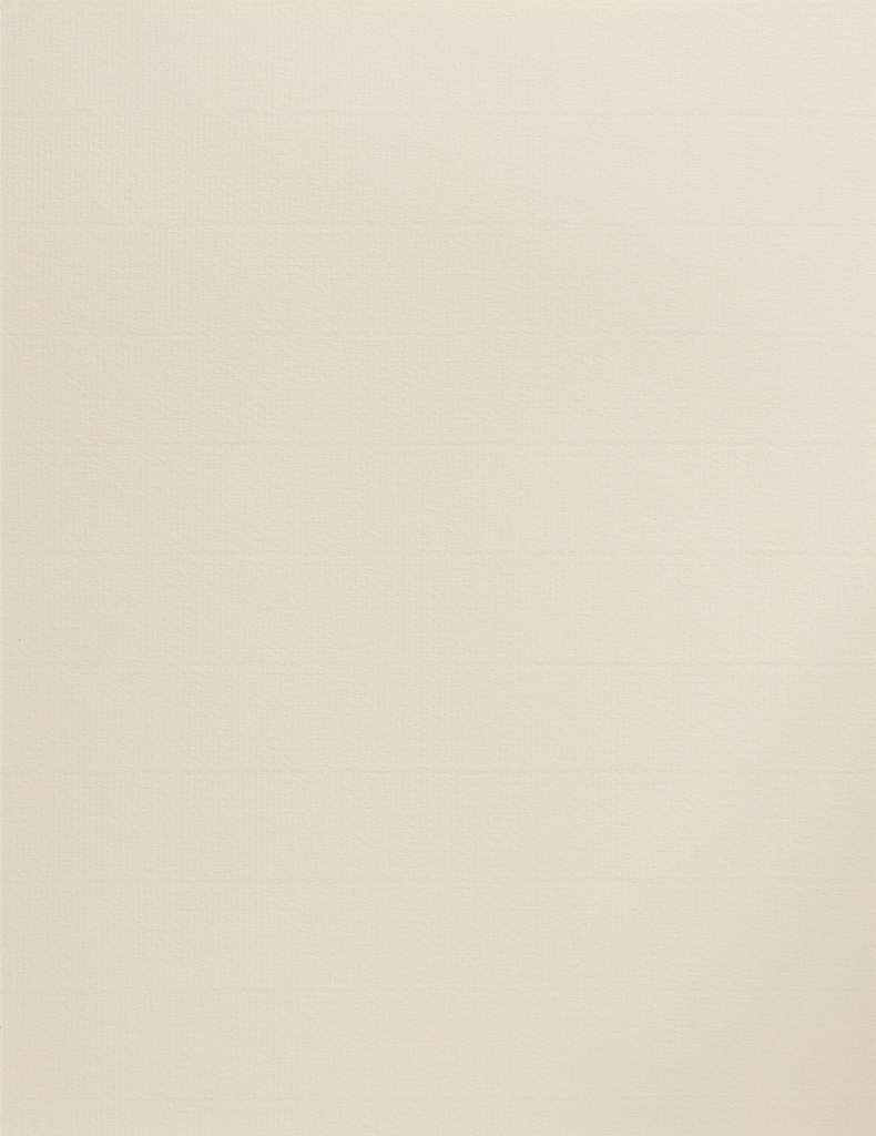 BOARD LAID L/S IVORY 220G100SH