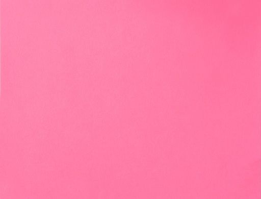 [LPP216] BOARD FLUO FUCHSIA L/S (100)
