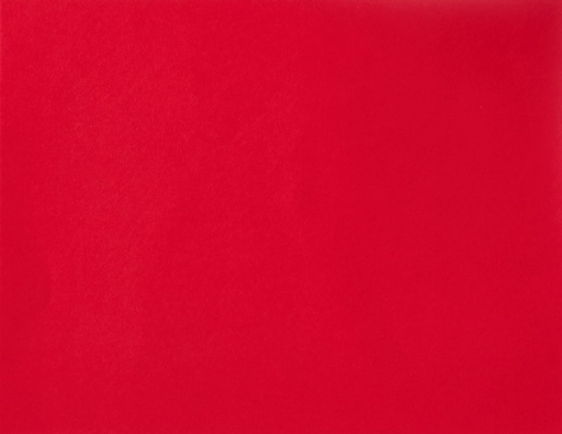 [LPP217] BOARD FLUO RED L/S (100)
