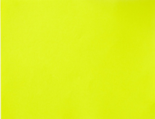 [LPP218] BOARD FLUO LEMON YEL L/S (100)