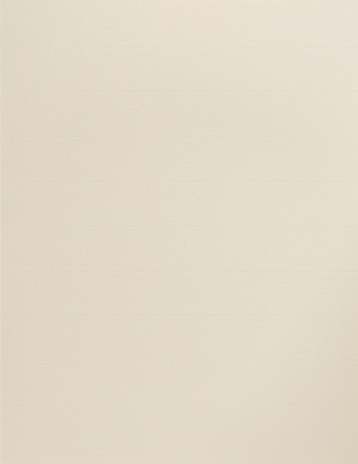 [LPP174] BOARD LAID L/S IVORY 220G100SH
